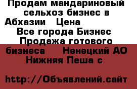 Продам мандариновый сельхоз-бизнес в Абхазии › Цена ­ 1 000 000 - Все города Бизнес » Продажа готового бизнеса   . Ненецкий АО,Нижняя Пеша с.